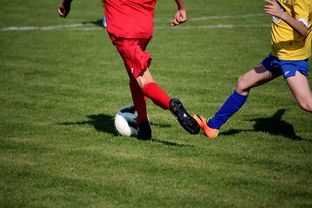 开云博彩-中国足球年度训练项目与技战术实战匹配，中国足球队战术