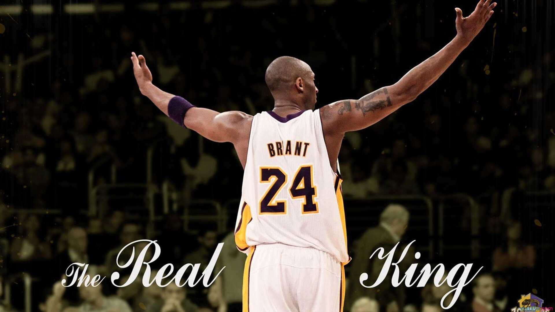 西甲全场数据可视化对裁判判罚影响分析，西甲数据统计